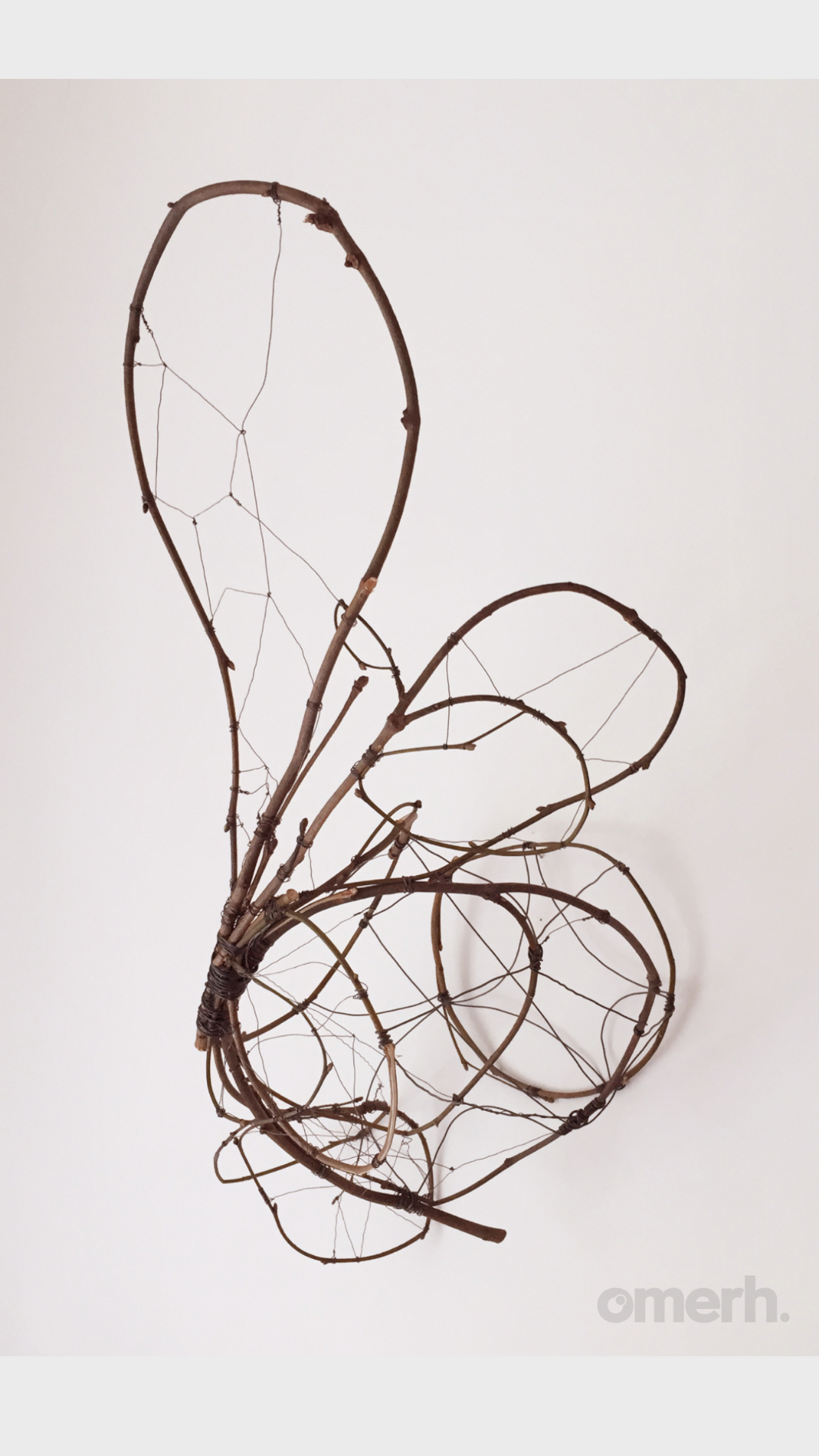 Untitled (Hare), II